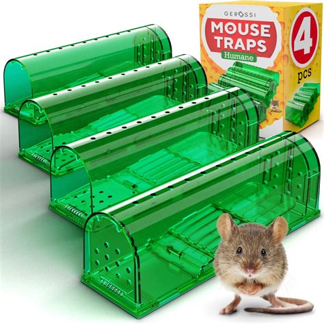 cruelty free mouse trap|no kill mouse trap.